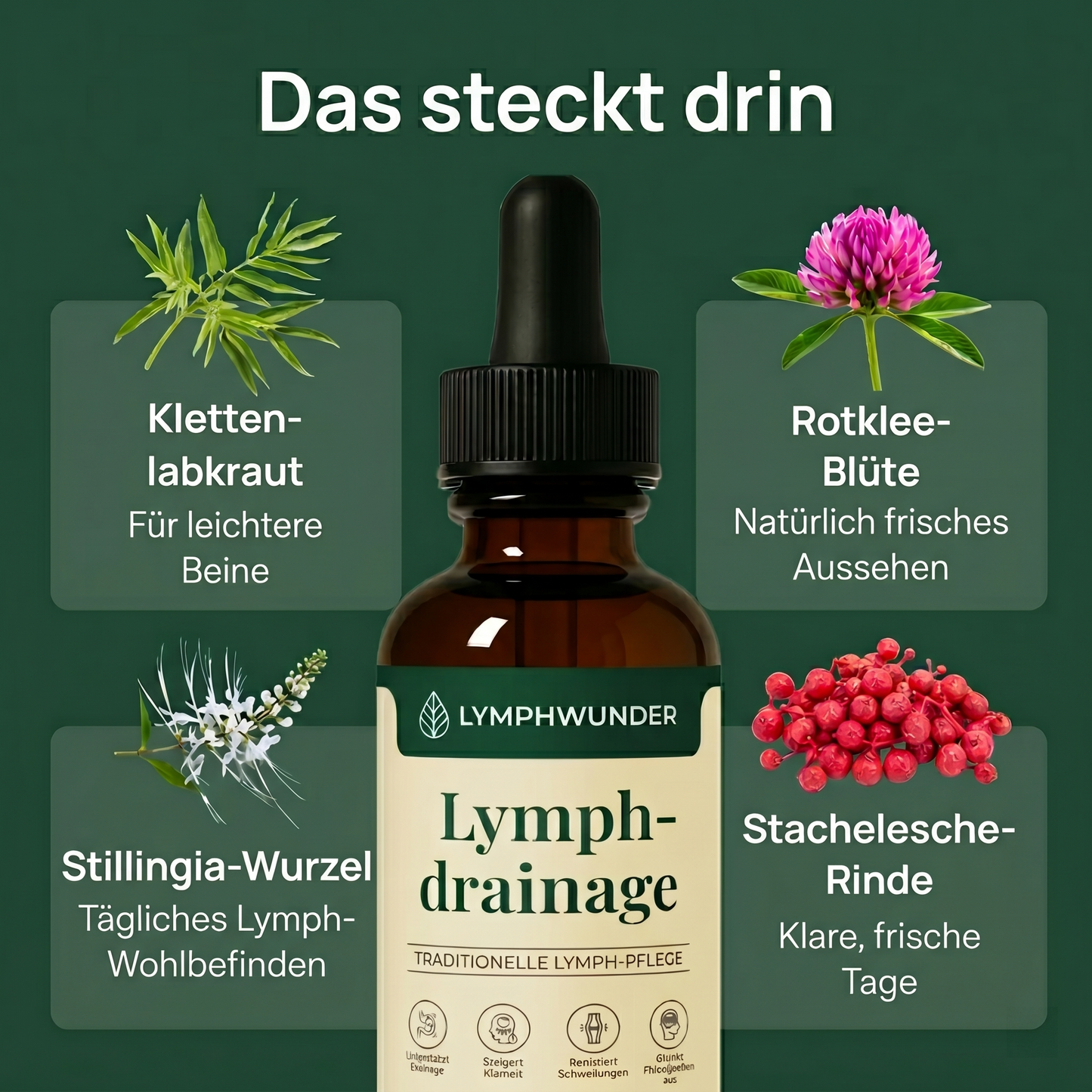 Das steckt drin – die Inhaltsstoffe